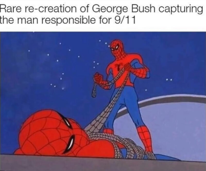 Meme spiderman 13