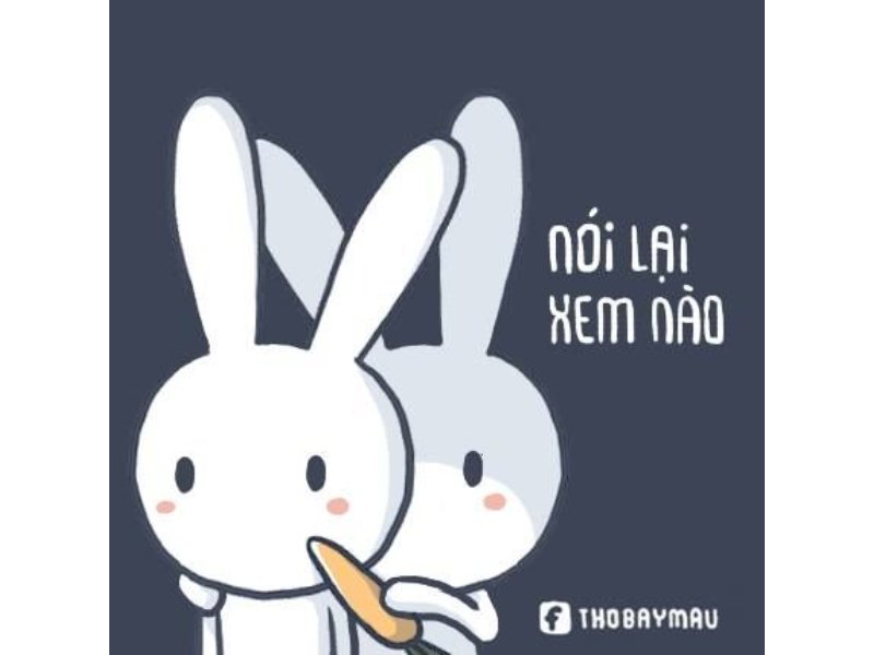 Meme thỏ 08