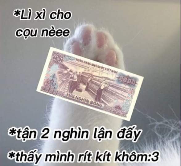 Meme tiền 05