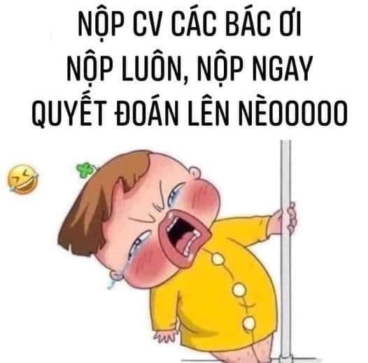 Meme tuyển dụng 12