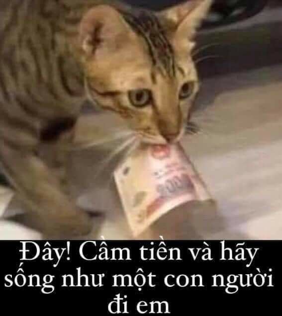 Đau ở đây này meme 27