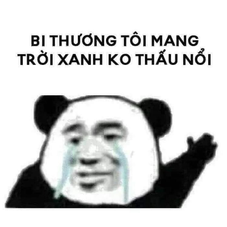 Panda meme 28