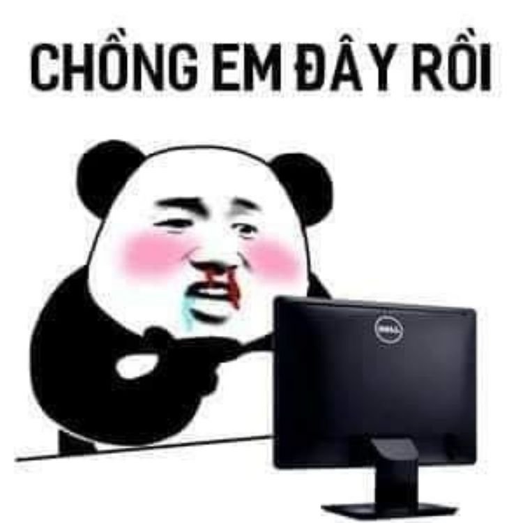 Panda meme 33