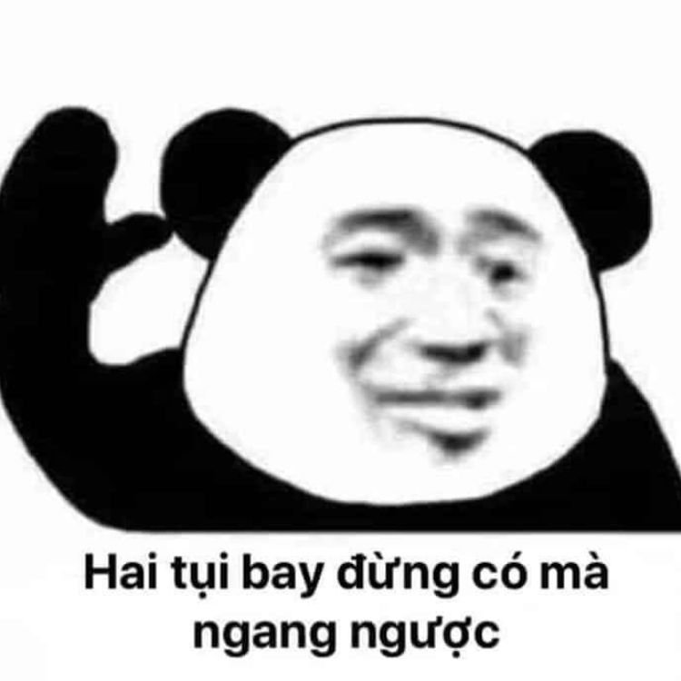 Panda meme 52