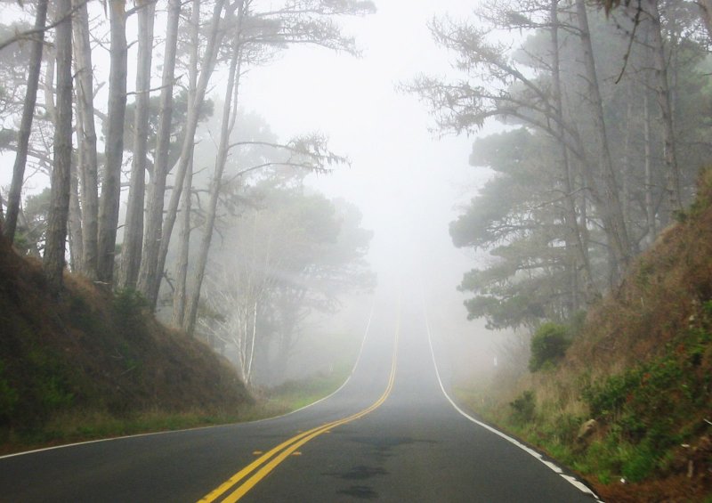 Phong cảnh con đường dẫn vào thung lũng sương mù  5