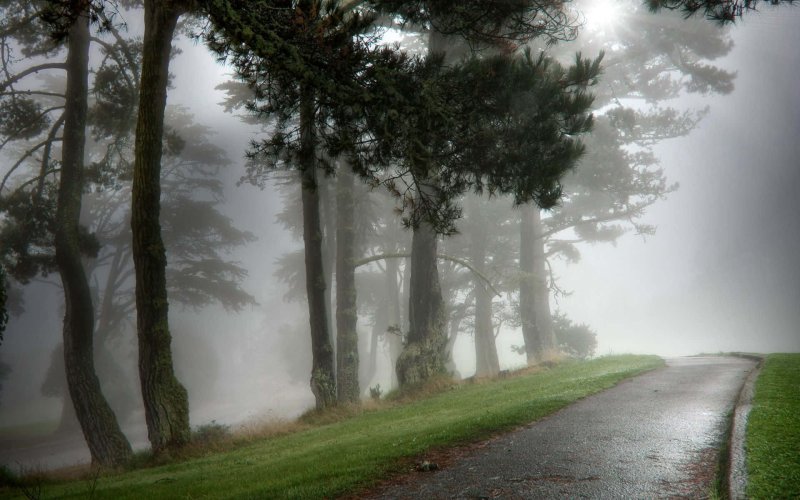 Phong cảnh con đường dẫn vào thung lũng sương mù 35
