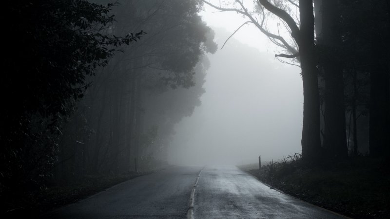 Phong cảnh con đường dẫn vào thung lũng sương mù 37