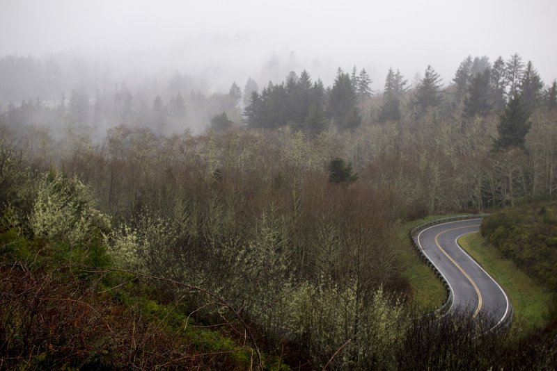 Phong cảnh con đường dẫn vào thung lũng sương mù 43