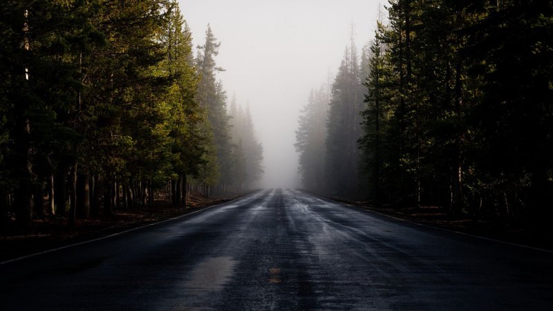 Phong cảnh con đường dẫn vào thung lũng sương mù 44
