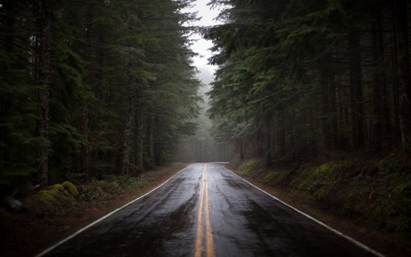 Phong cảnh con đường dẫn vào thung lũng sương mù 47