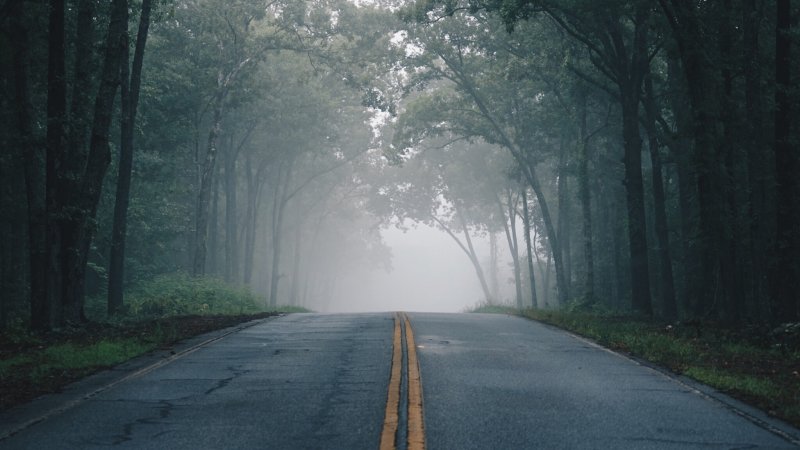 Phong cảnh con đường dẫn vào thung lũng sương mù 49