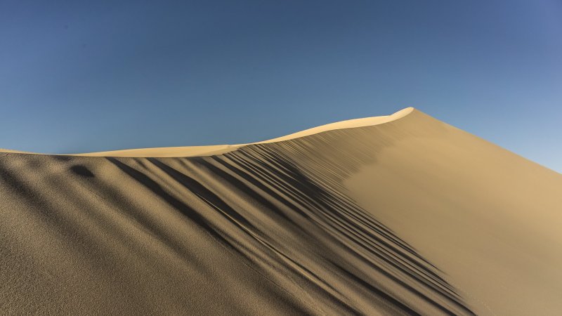 Phong cảnh đồi cát vàng 17
