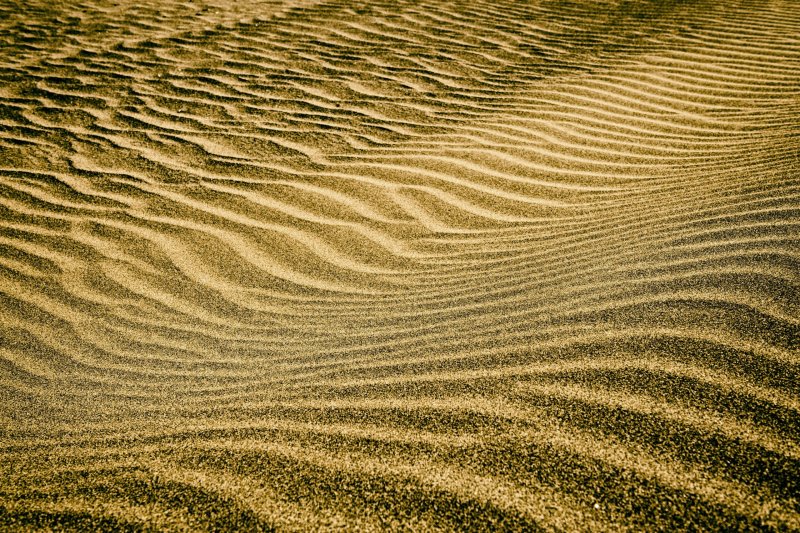 Phong cảnh đồi cát vàng 21