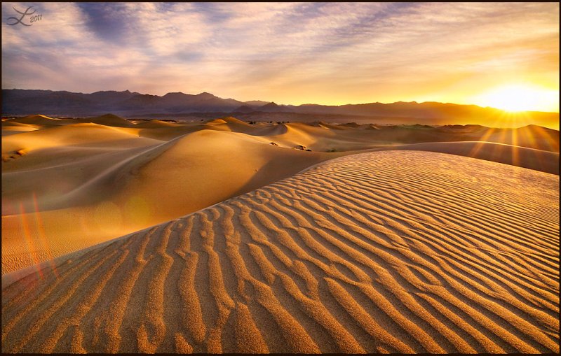 Phong cảnh đồi cát vàng 24