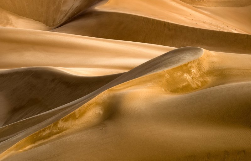 Phong cảnh đồi cát vàng 25