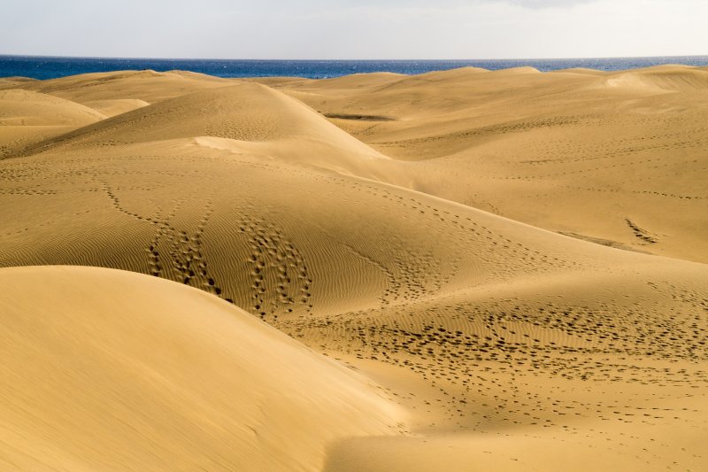 Phong cảnh đồi cát vàng 37