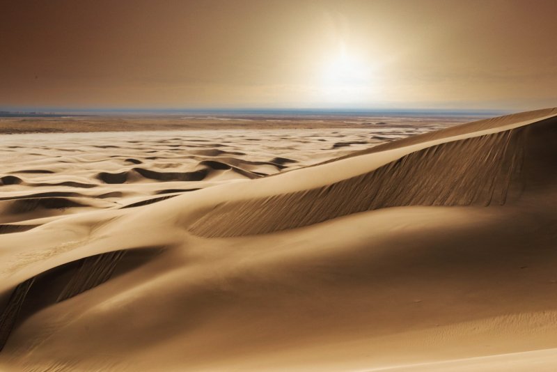 Phong cảnh đồi cát vàng 43