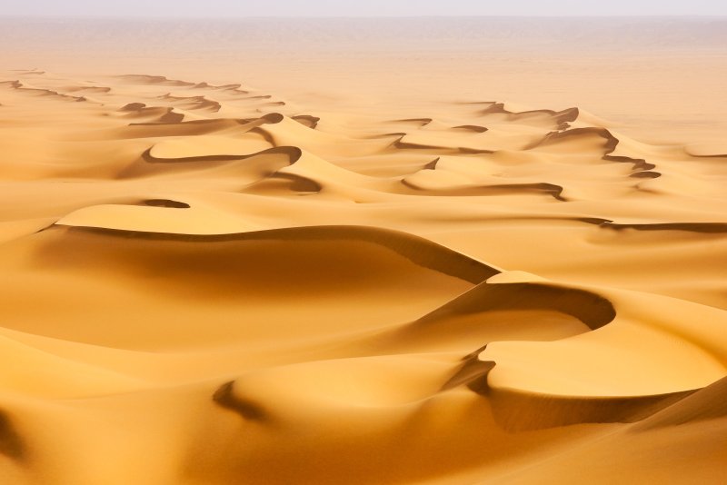 Phong cảnh đồi cát vàng 44