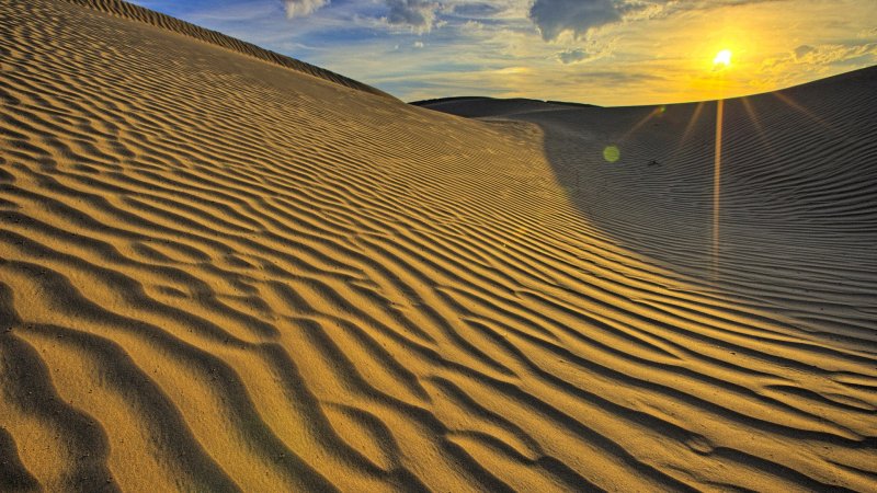 Phong cảnh đồi cát vàng 47