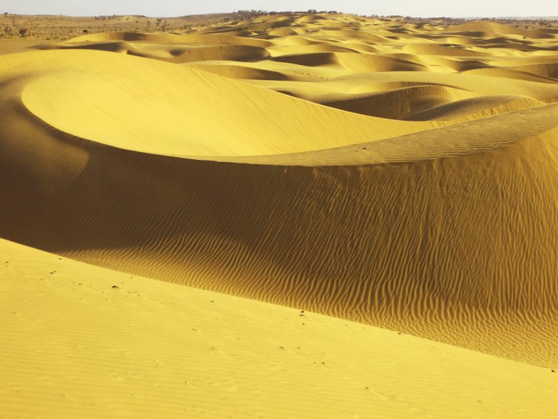 Phong cảnh đồi cát vàng 48