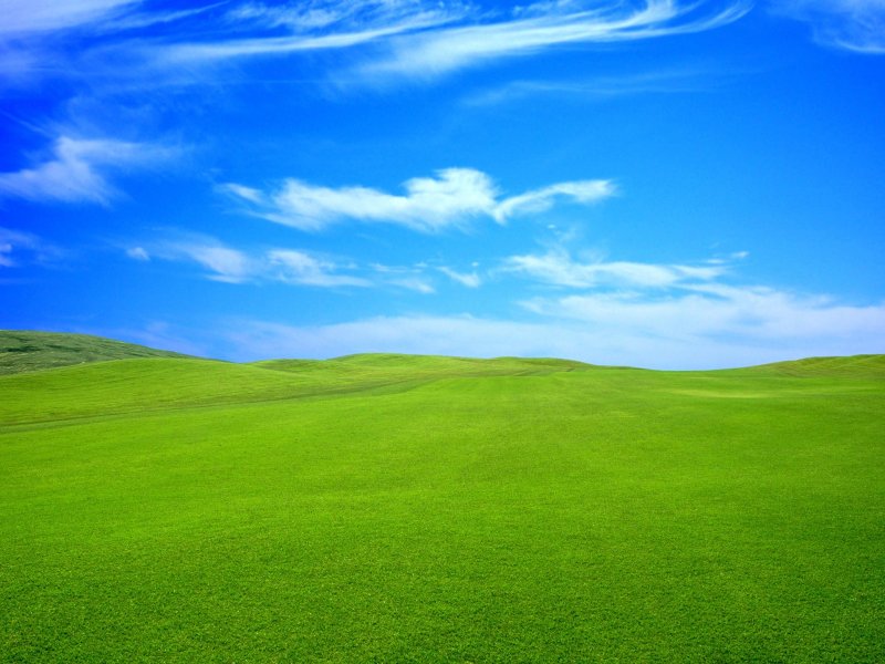 Phong cảnh đồi cỏ xanh biếc 44