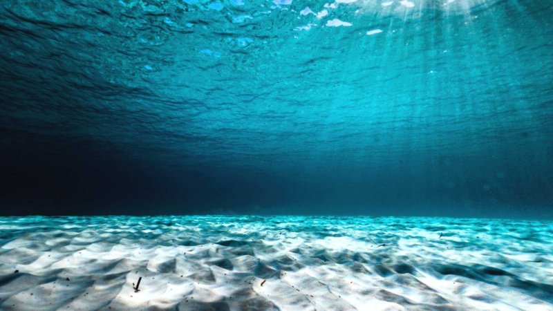 Phong cảnh dưới nước 19