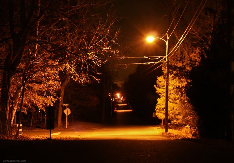 Phong cảnh đường phố sáng đèn 8
