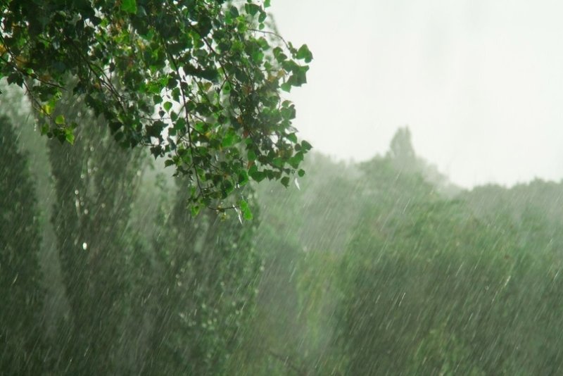 Phong cảnh thiên nhiên mùa mưa 47