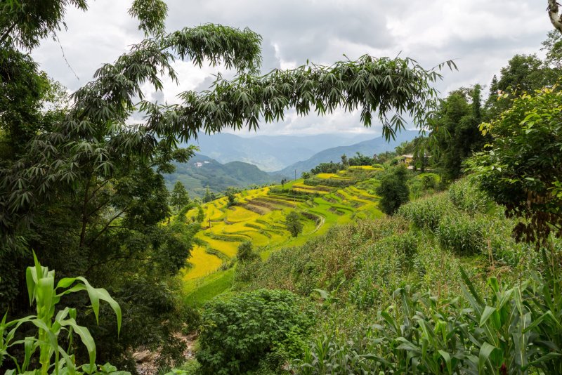 Phong cảnh núi rừng 3