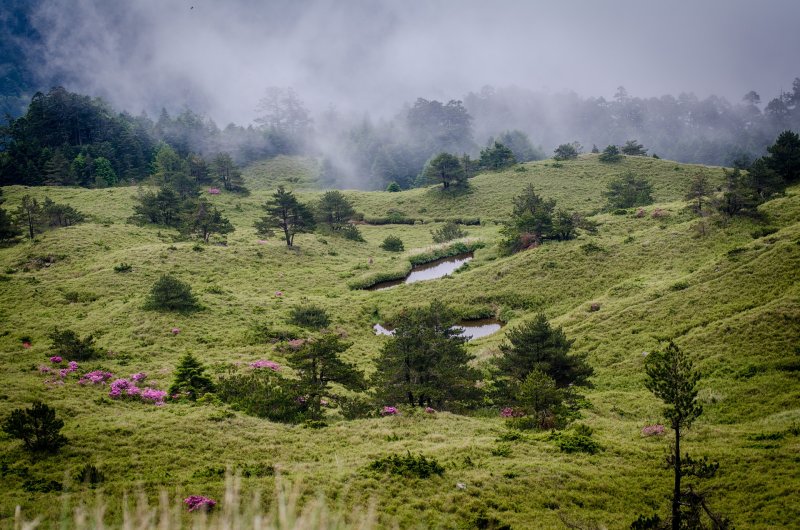 Phong cảnh núi rừng 28