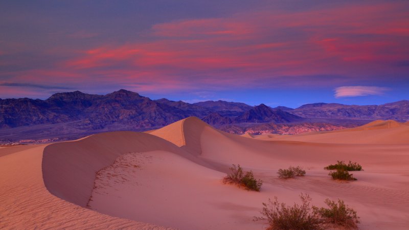 Phong cảnh sa mạc 12
