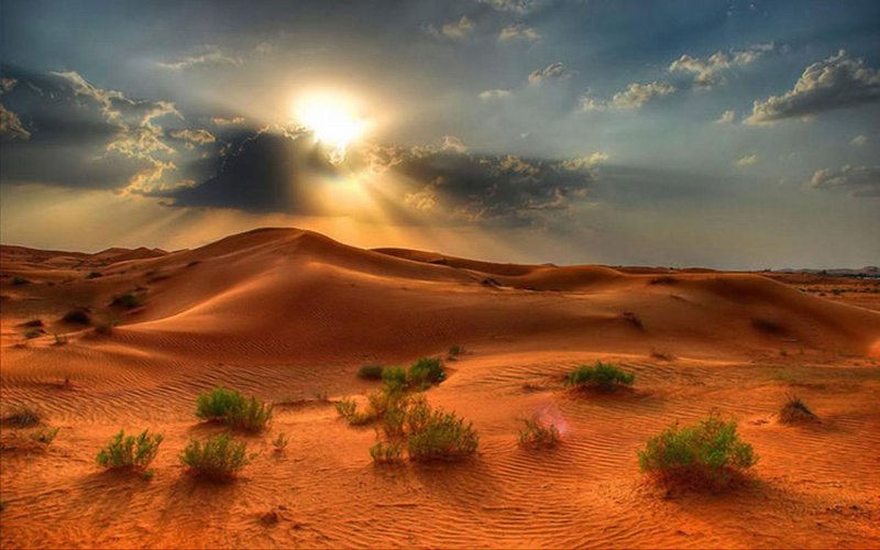 Phong cảnh sa mạc 26