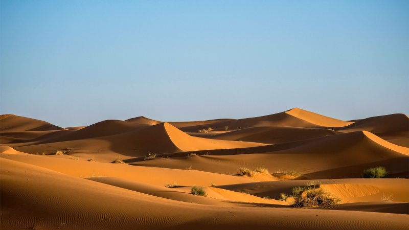Phong cảnh sa mạc 35