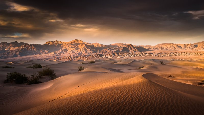 Phong cảnh sa mạc 47