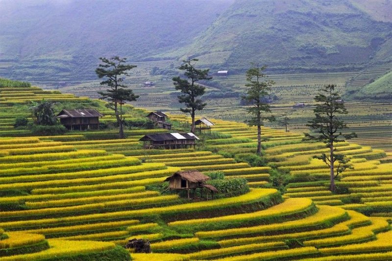 Ảnh phong cảnh Việt Nam 2