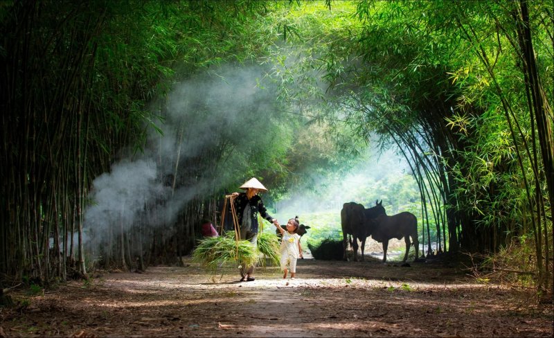 Ảnh phong cảnh Việt Nam 8