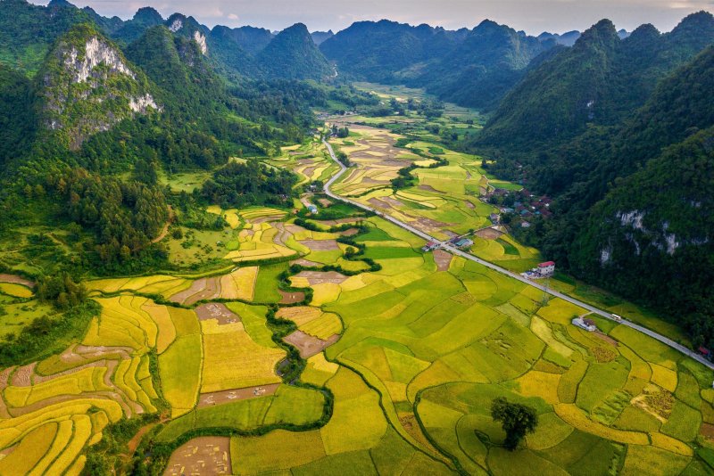 Ảnh phong cảnh Việt Nam 9