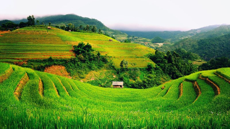 Ảnh phong cảnh Việt Nam 21