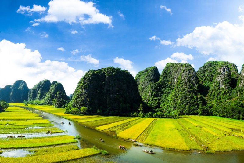 Ảnh phong cảnh Việt Nam 42