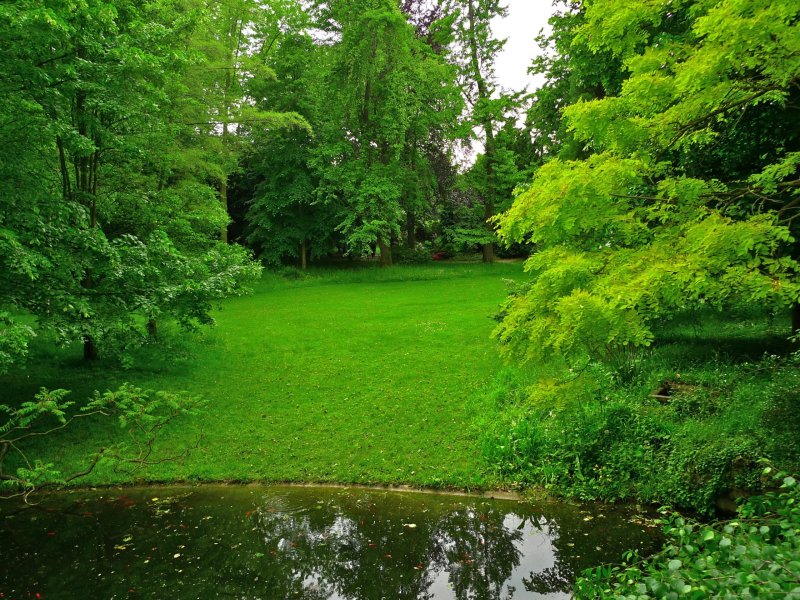 Phong cảnh vườn cây xanh mát 16