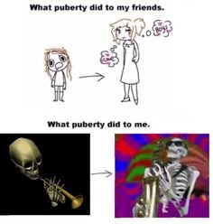 Skeleton meme 24