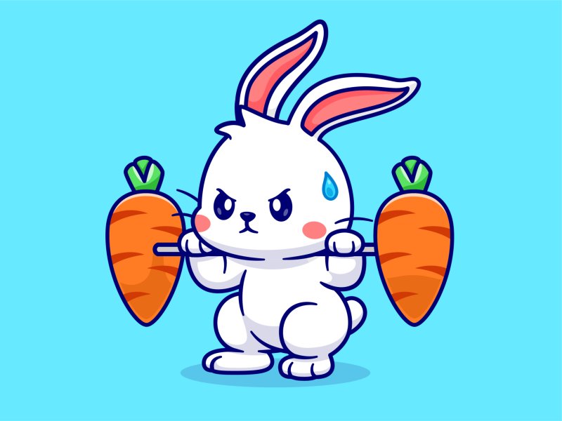 avatar thỏ cute 13