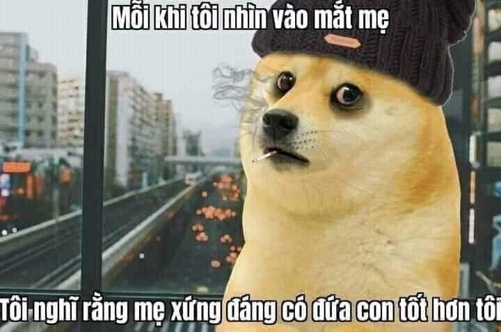 Vì bạn xứng đáng meme 04