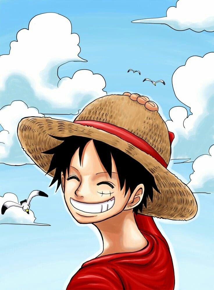 Hình ảnh one piece cute
5