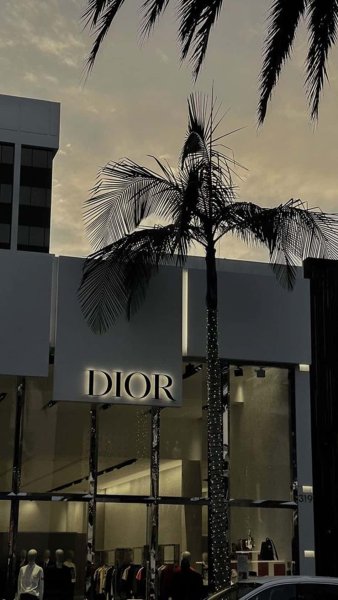 ảnh Dior 14