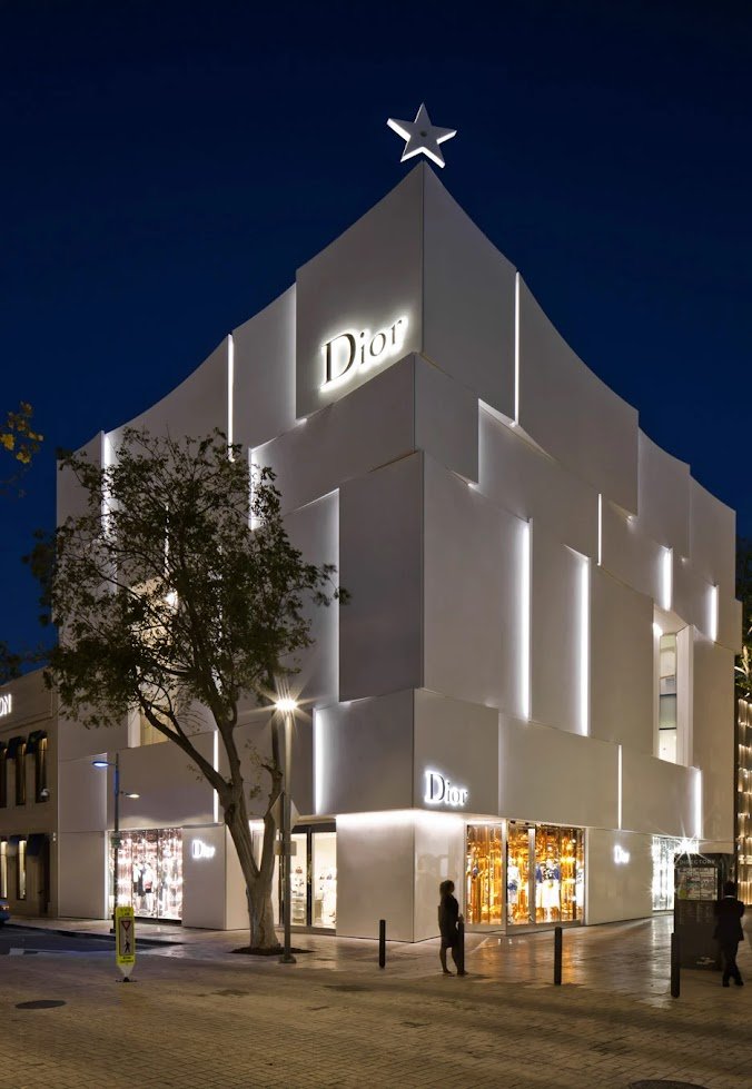 ảnh Dior 6