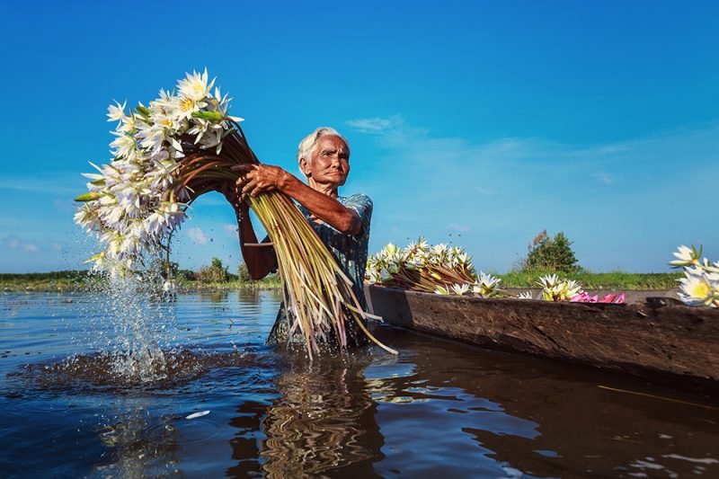 Hình ảnh quê hương đất nước 7