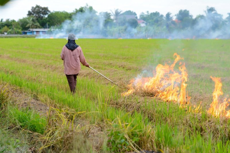 Hình ảnh ô nhiễm môi trường không khí 6