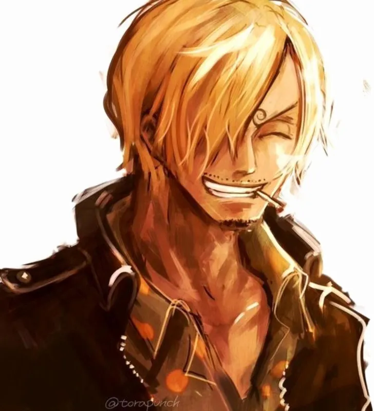 ảnh sanji 3