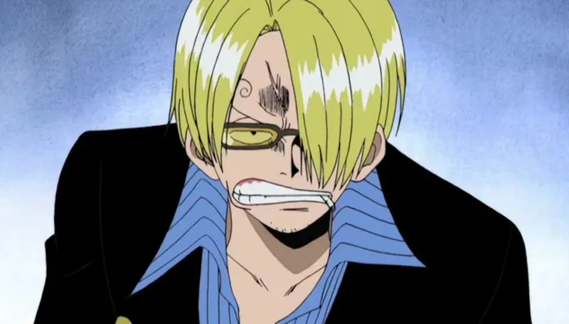 ảnh sanji 13